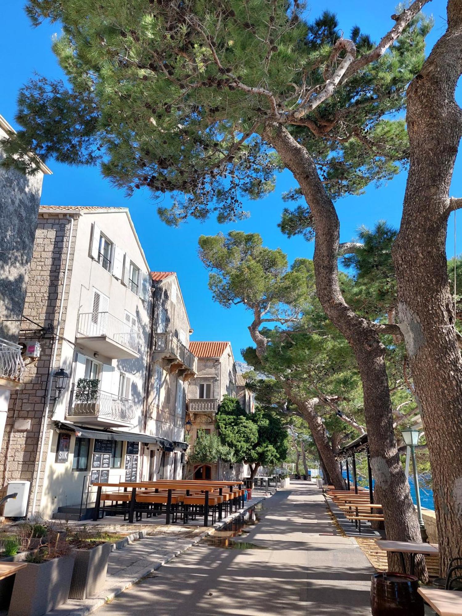 Apartment Đảo Korčula Ngoại thất bức ảnh