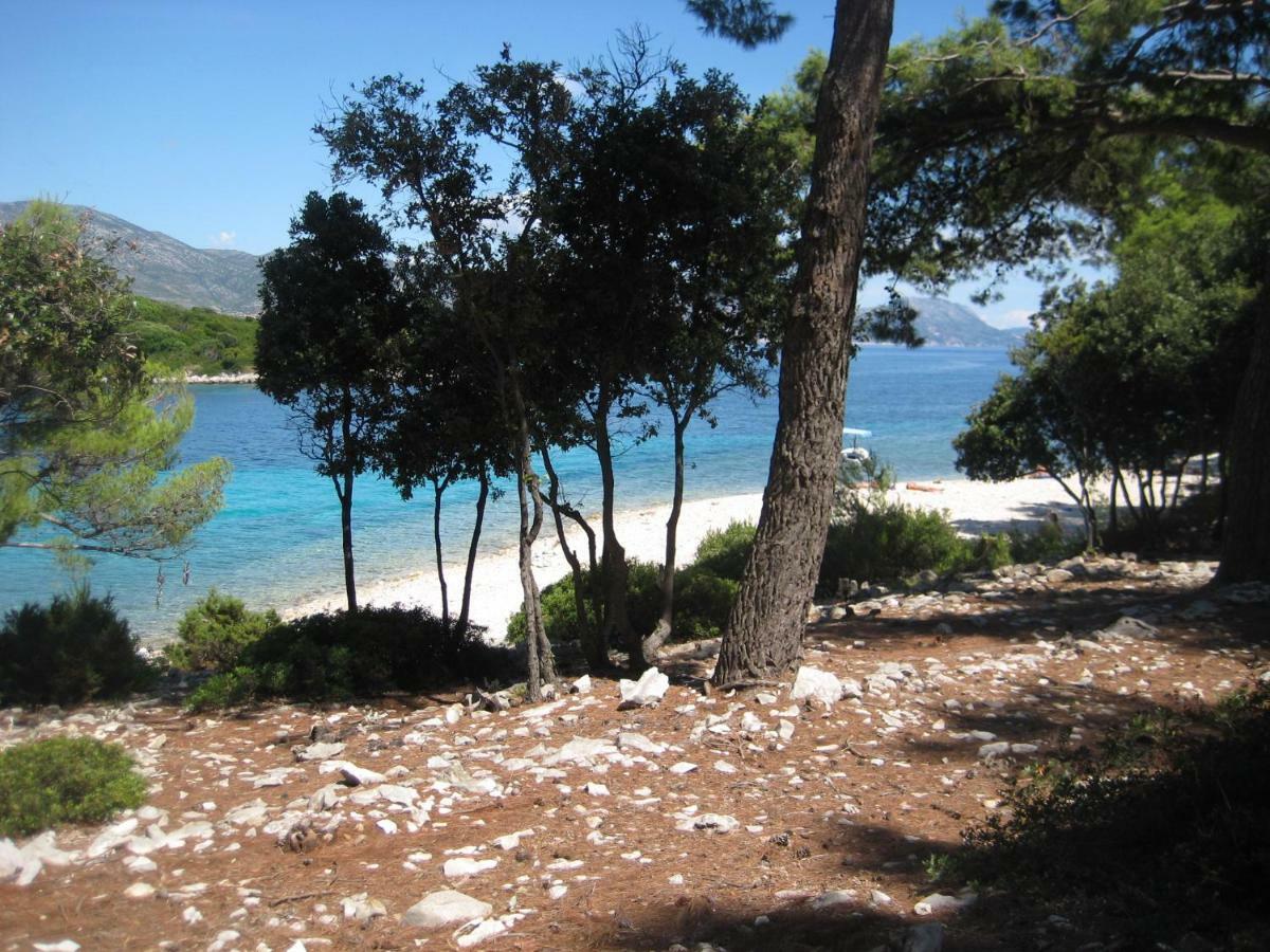 Apartment Đảo Korčula Ngoại thất bức ảnh